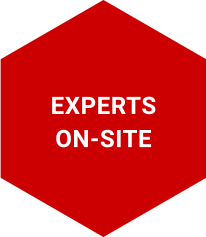 Experts on-site